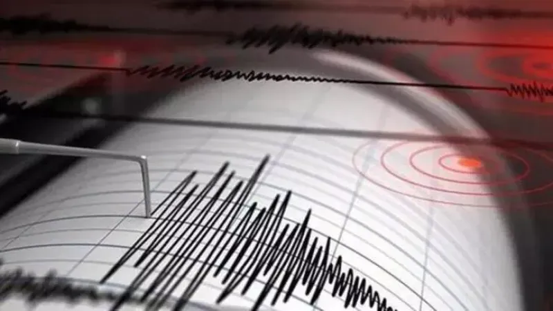 Erzurum gece yarısı depremle sallandı