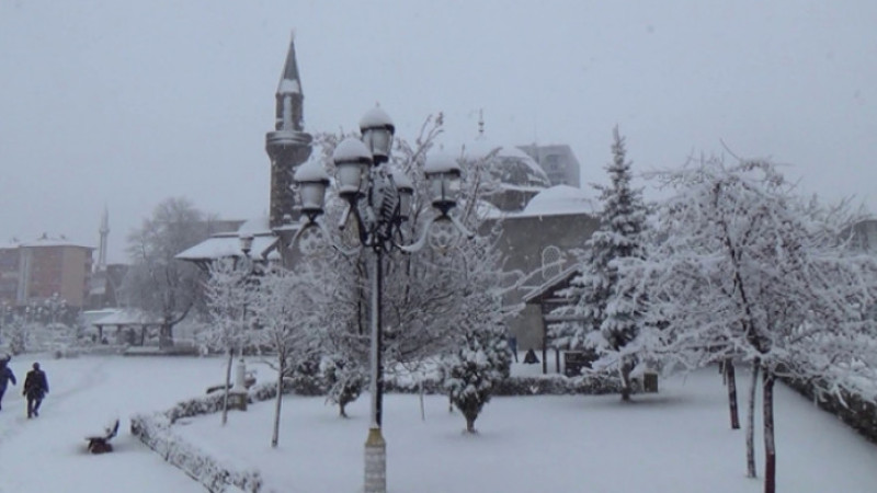 Erzurum'da devam eden kar yağışı hayatı olumsuz etkiliyor