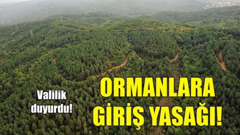 Erzurum Valiliği ormanlara giriş çıkışı yasakladı