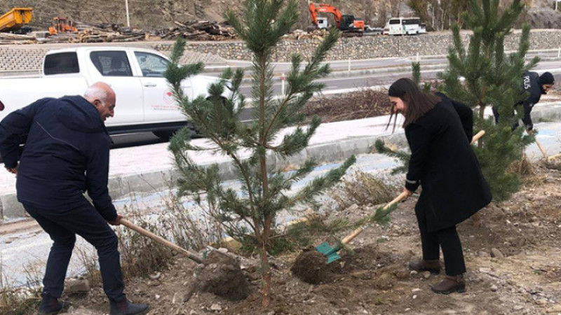 Uzundere'de kaymakam ve başkan ağaç diktiler