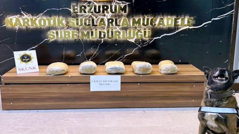 5 kilo 200 gram skunk maddesi ele geçirildi