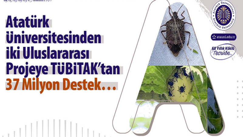 İki uluslararası projeye 36 milyon destek