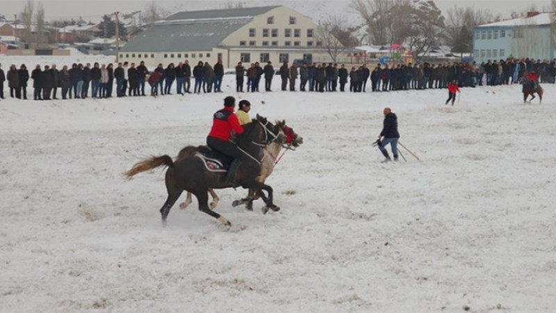 Erzurum'un Aşkale ilçesinde cirit heyecanı yaşandı.