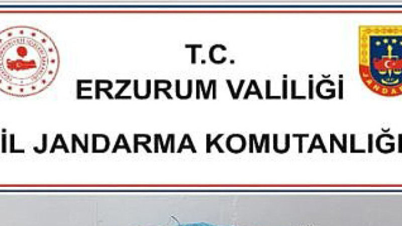 Jandarma’dan uyuşturucu operasyonu