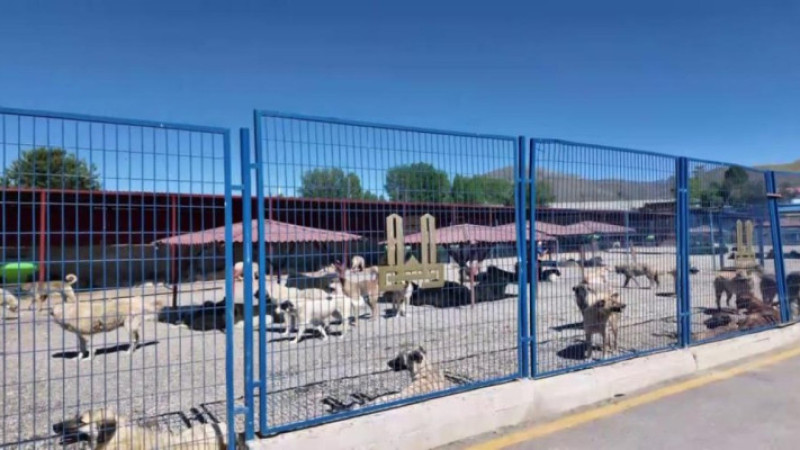 Bakan Çiftçi'nin Erzurum'da başlattığu uygulama Türkiye'ye örnek oldu
