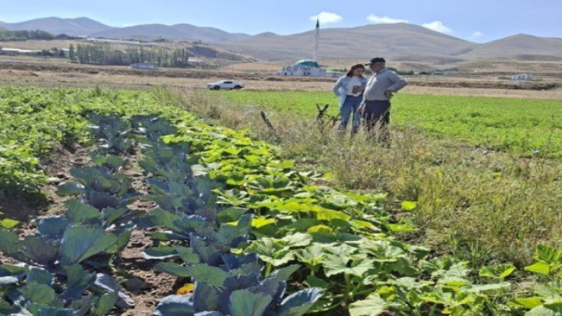 Erzurum’da kadın çiftçilerin tarlaları kontrol altında