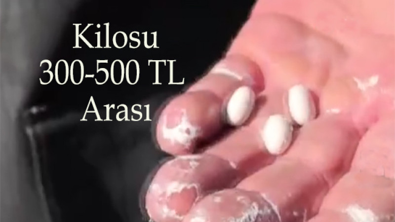 Coğrafi işaretli İspir fasulyesinde hasat hazırlığı