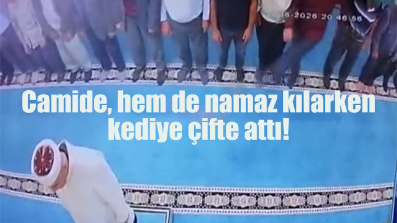 Camide kediye çifte atan adam ile ilgili soruşturma