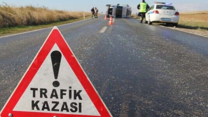 Trafik kazası: 1 kişi yaralandı 3 hayvan telef oldu