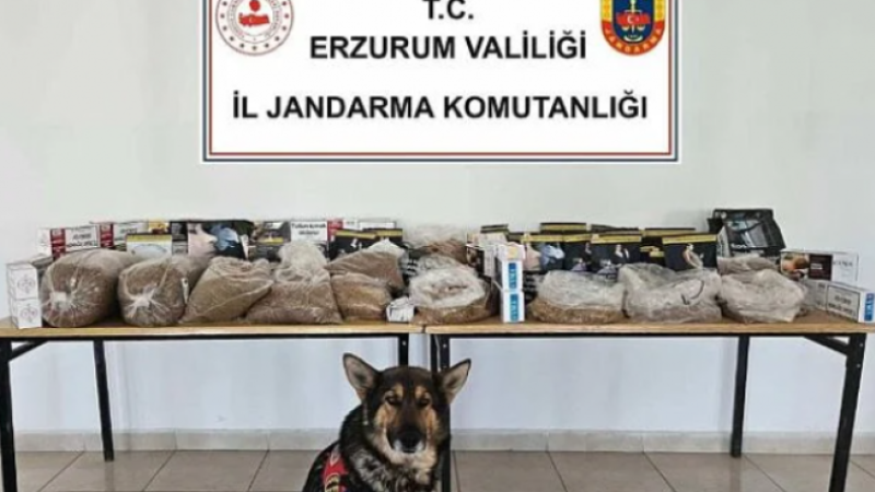Horasan'da kaçak tütün operasyonu